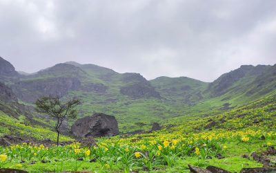 Lomas de Atocongo, sueños y posibilidades