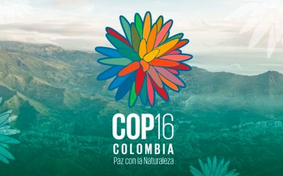 COP 16 Cali: Compromisos por un futuro sostenible